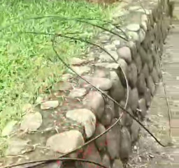 Tersangkut Kabel Wifi yang Menjuntai di Jalan, Pemotor Jatuh Terjungkal