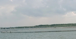 Ditjen PSDKP Sidak Pagar Laut PT Sumber Mas Plywood yang Diduga Tak Berizin