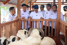 Tinjau Nusakambangan untuk Lihat Langsung Keberlanjutan Ketahanan Pangan