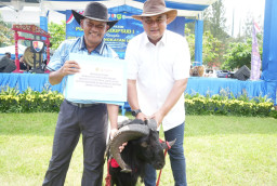  HUT TNI AU ke-9, Bupati Bogor Dukung "Pesta Patok" Domba Garut di Lanud ATS
