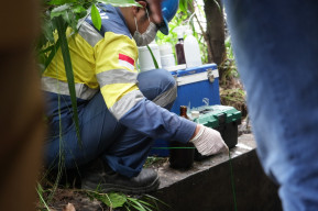 Tak Tanggung-Tanggung! Bupati Bogor Utus DLH di Situ Rawa Jejed yang Tercemari Limbah