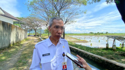 DKPP Kota Kediri Ajukan Penambahan 965 Ton Alokasi Pupuk Subsidi