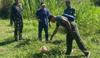 Teror Anjing Liar Landa Ponorogo, Sejumlah Kambing Warga Dimangsa
