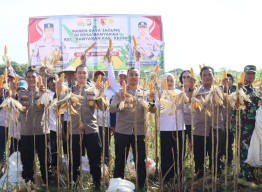 Panen Raya Jagung, Upaya Polres Kediri Kota Dukung Swasembada Pangan Nasional