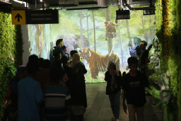 72 Ribu Lebih Wisatawan Padati KBS Sejak Lebaran, Angka Kunjungan Diprediksi Terus Meningkat