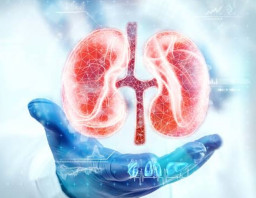 Ingin Ginjal Tetap Sehat, Perhatikan Ini!