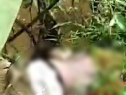 Diduga Dibunuh, Mayat Wanita Hamil Ditemukan di Parit Jalan Trans Kalimantan 