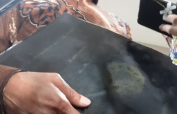 Jokowi Bawa Map Hitam Berlogo UGM, Isinya Ijazah?