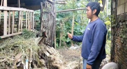 Marak Pencurian Kambing di Depok, Pelaku Masih Belum Terungkap