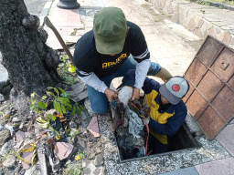 DPUPR Turun Tangan Lakukan Pembersihan Inlet, Cegah Genangan Air di Kota Kediri