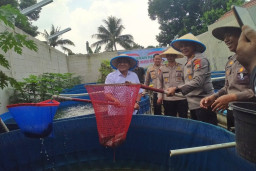 Wujudkan Ketahanan Pangan, Polisi di Depok Hasilkan Panen Lele 2 Ton Per Bulan