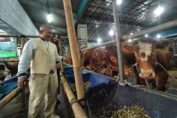 Mall Hewan Kurban Haji Doni Kebanjiran Order dari Luar Negeri