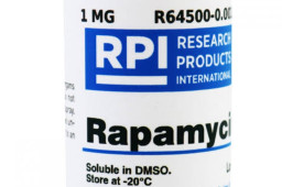 Rapamycin dan Trametinib Diyakini Bisa Perpanjang Umur Manusia hingga 30 Persen