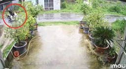 Pengendara Motor Tewas Akibat Terjerat Kabel Listrik Menjuntai