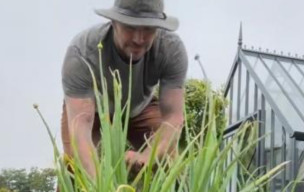 David Beckham 'Tinggal' di Brebes Jadi Petani Bawang