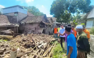Dapur Rumah dan Kandang Sapi Roboh, Tewaskan Perempuan Tua di Jember