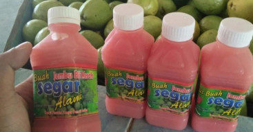 Jus Jambu Belum Terbukti Secara Ilmiah Naikkan Trombosit