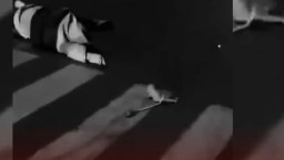 Perawat Hamil Enam Bulan, Tewas Setelah Tertabrak Dua Kendaraan