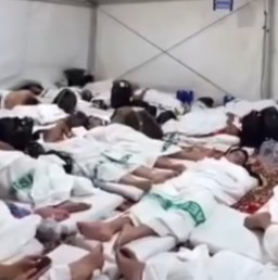 Sakit Jantung, Mendominasi Penyebab Terbanyak Jamaah  Haji Indonesia Wafat