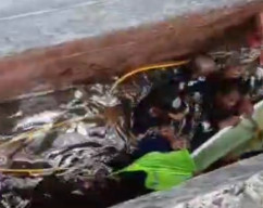 Pegawai Pelabuhan Trisakti Tergelincir saat Antar Dokumen Kapal