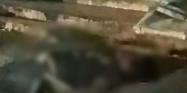 Anak Punk Tergeletak di Depan Toko Mixue