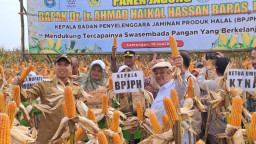 BPJPH Tegaskan Jagung Hasil PRG di Desa Banyubang Lamongan, Halal