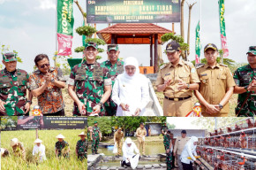 Sah! Kampung Pangan Terpadu Milik Kodim 0812 Lamongan Diresmikan