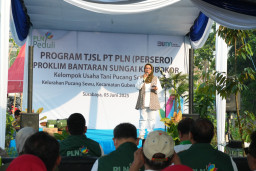 PLN UIT JBM Hijaukan Bantaran Sungai Kalibokor Surabaya, Melalui Penanaman 435 Bibit Pohon