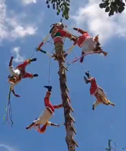 Asyik Atraksi, Penari Tiang Jatuh dari Ketinggian 10 Meter