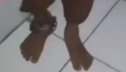 Empat Anak Ditemukan Dikurung dan Dirantai di Sebuah Rumah di Boyolali