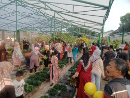 Sensasi Belanja Produk Pertanian Langsung dari Kebun Percobaan