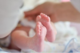 Rp 254 Juta per Bayi! Terungkap Harga Bayi yang Dijual Sindikat ke Singapura