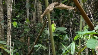 Motif Gantung Diri Seorang Karyawan PT IWIP Masih Misteri