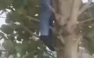 Diduga Depresi, Remaja di Cianjur Akhiri Hidup di Kebun Teh