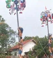 Lomba Panjat Pinang di Banjarbaru Diwarnai Insiden Batang Patah, Penonton Malah Senang 