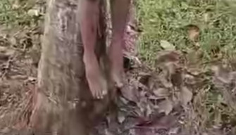 Warga Dihebohkan Mayat Pria Tergantung di Pohon Karet di Purwakarta