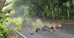 Tertimpa Ranting, Pengendara Motor Jatuh