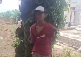 Maling Tandan Buah Sawit Dihajar Warga