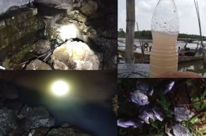 Limbah Sebuah Pabrik Pengelolaan Ikan di Sedayulawas Lamongan Dibuang ke Laut