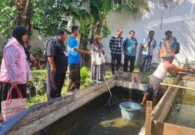Yayasan Baitul Maal PLN UIT JBM Sebar Manfaat Melalui Budidaya Ikan Lele di Pasuruan
