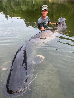 Rekor! Ikan Lele Sepanjang 2,68 Meter Berhasil Ditangkap