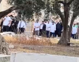 Pemukim Ilegal israel Kembali Serbu Masjid Al-Aqsha