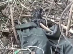 Tulang Belulang Ditemukan di Belakang Bekas Gedung AKN Kajen