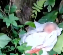 Bayi Terbungkus Kain Putih, Ditemukan Dalam Kondisi Hidup di Semak-Semak