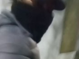 Anggota Geng Tembak Kaki Wanita yang Sedang Jalan Kaki