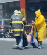 Supermarket Diserang Lebah, Kakek 74 Tahun Kritis