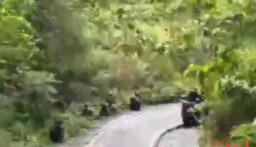 Pendulang Emas Dibunuh KKB di Yahukimo