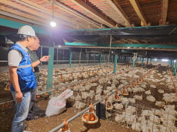 Utamakan Daya Beli Masyarakat, Pemerintah Jaga Tarif Listrik Tetap Terjangkau Sepanjang 2025