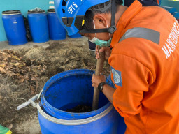 Wujudkan Green Lifestyle, PLN UIT JBM Perkenalkan Produk Pupuk Kompos dari Rumah Kompos Gardu Induk Tandes