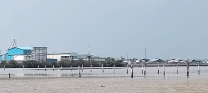 Tanpa Izin Resmi, PT Sumber Mas Plywood Kuasai Laut Karangkiring